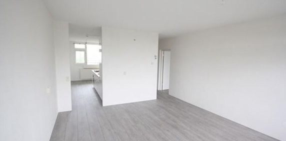 Torenmolen, 1035 AV Amsterdam, Nederland - Photo 2