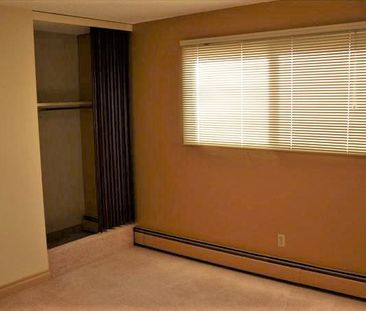 Cozy 1 Bedroom Suite in Highland Park - Photo 2