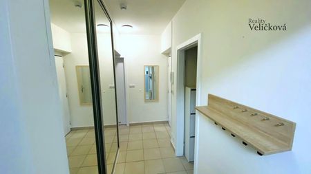 Pronájem bytu 2+kk 53 m², K Meteoru , Hradec Králové - Photo 5