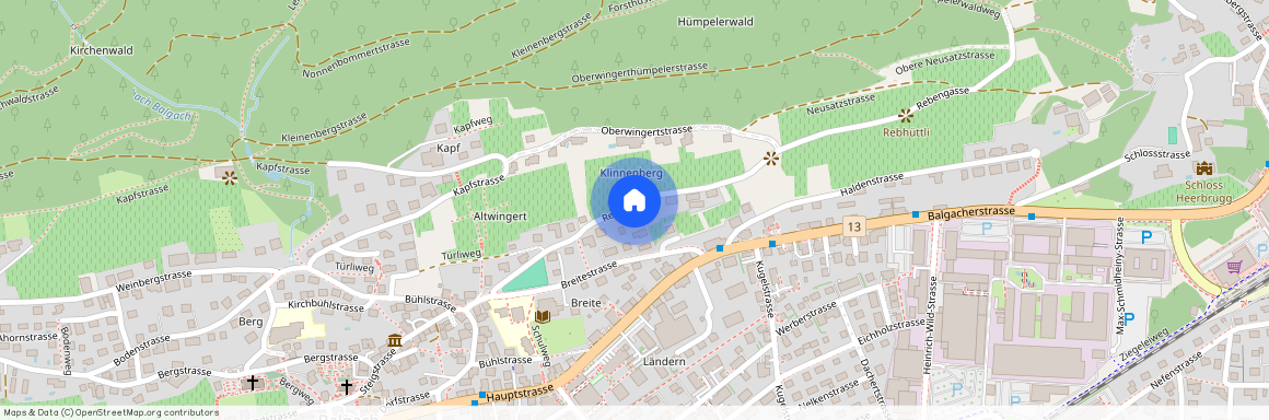 Rebengasse 10b, 9436 Balgach