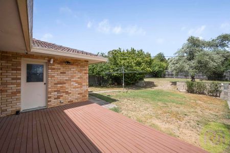 Convenient Studio Living - All Utilities included in Prime Farrer - Photo 3