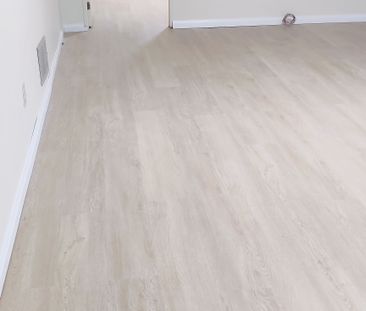 For Lease - 22 Buena Vista Avenue Unit# Lower unit, Toronto, Ontario - Photo 3