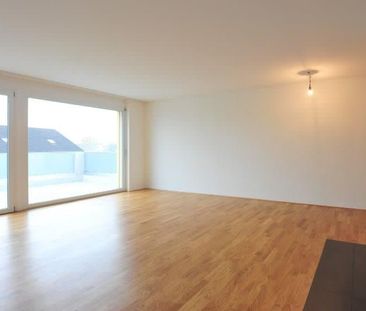 2.5 Zimmer, 62 m², EG - Foto 5