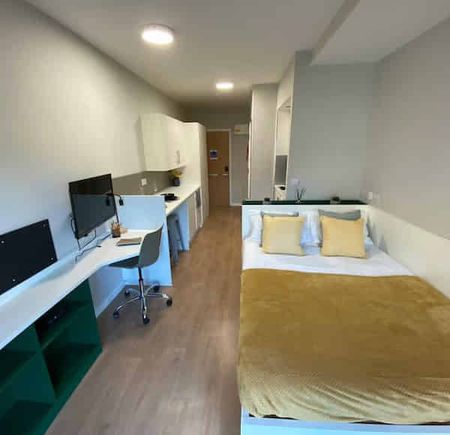 Studio Silver Plus - Photo 4