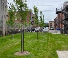 4 1/2 - Laval (Laval-des-Rapides) - 1 760 $/mois - Photo 2