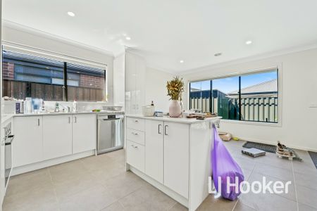 Quiet Location! - Photo 5