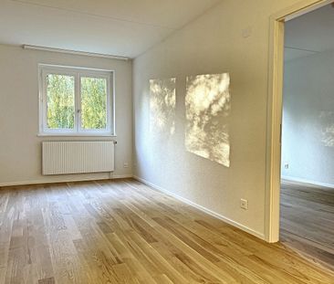 2 ½ PIECES - Au calme et proche des commodités ! - Photo 1