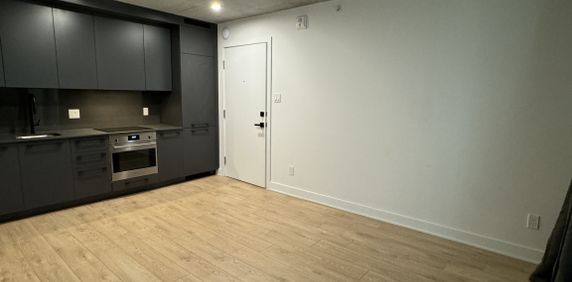 Kai APT #507-215 Murray / 1BED-1BATH - Photo 2