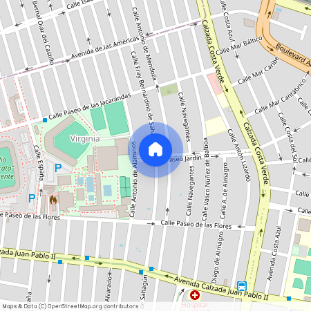 Calle Fray Bernardino de Sahagún, Virginia, 94294, VER, Mexico