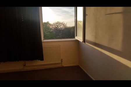2 Bed Flat, Furze Hill House, BN3 - Photo 4