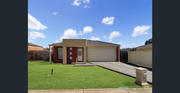 Light-filled 3-bedroom home with two living areas and a large backyard - Photo 1