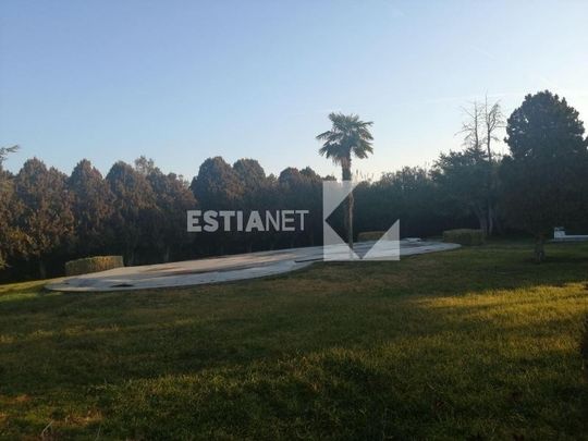 Μονοκατοικία 295 τ.μ. προς ενοικίαση - Photo 1