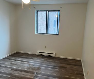 1 bedroom - Utilities Included -152 Thorold - Photo 3