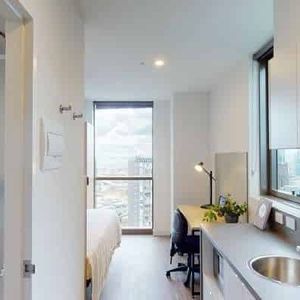 Studio King Single - Photo 2