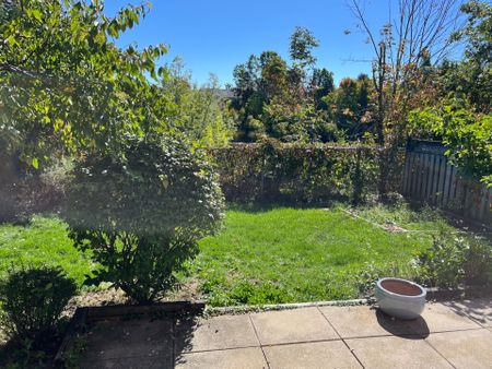 For Lease - 311 Stanley Street, Barrie, Ontario - Photo 4