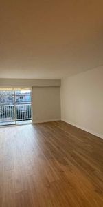 Fully Renovated 1 Bedroom - Photo 3