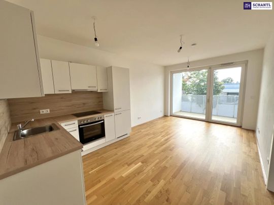 „Sonnig, modern & perfekt geschnitten – 2-Zimmer mit Balkon im 3. OG! - Foto 1