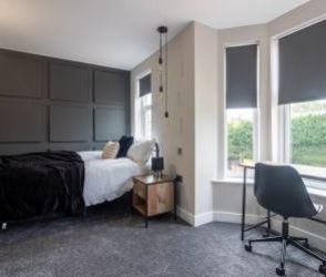 1 Bedroom - Photo 3