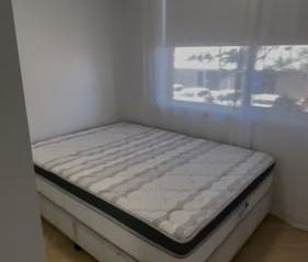 Shared 2 bedroom apartment in Southport - Photo 4