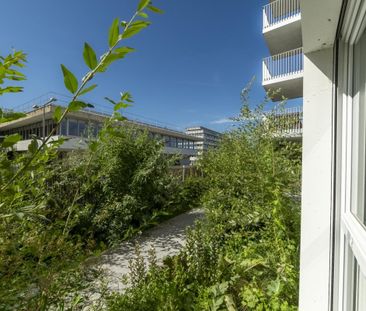 Location Appartement 1 pièce Meublé 20m² NANTES 44300 - Photo 6