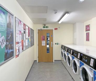 Premium Ensuite - Photo 6