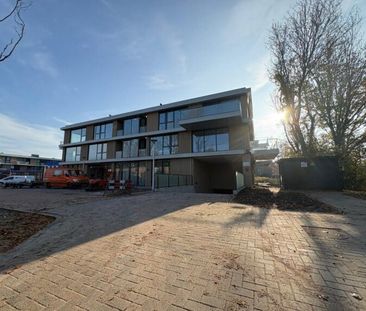 Roerdomplaan - Foto 3