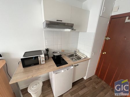 Location Appartement 1 pièce 16m² - Photo 3