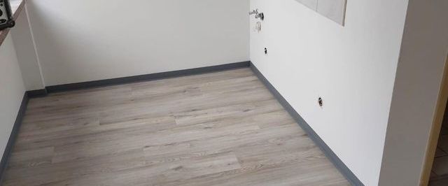 frisch renovierte Einraumwohnung in Zetrumsnähe - Foto 1