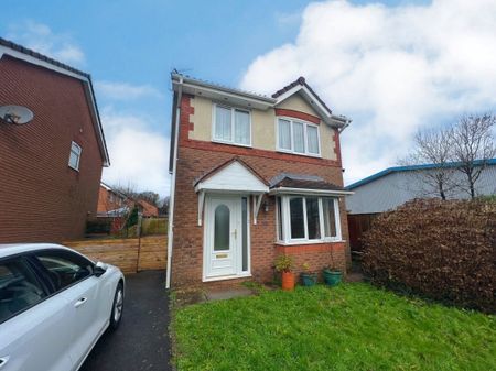 Picton Gardens, BRIDGEND - Photo 4