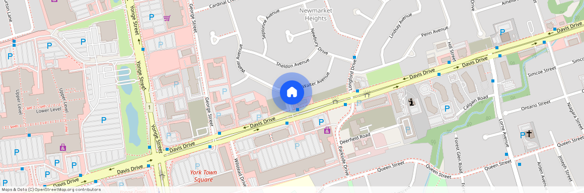 43 Walter Avenue Unit# lower back unit, Newmarket