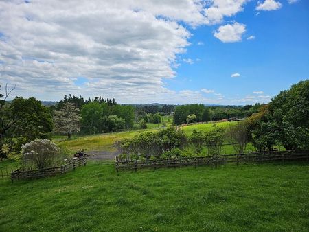 Idyllic Private rural Outlook 5 Km North of Albany - Photo 4