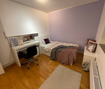 Carmencitas Gata, Göteborg - Photo 3