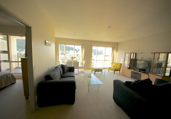 3 bedroom penthouse apartment at Stadium Gardens overlooking historic Thorndon - Photo 1
