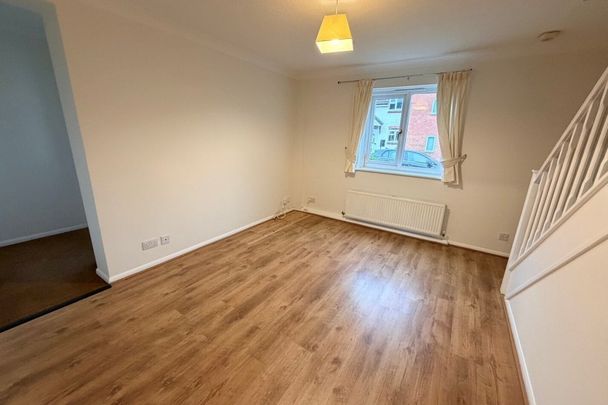 Blackthorn - Photo 1