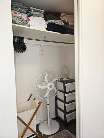 Parramatta Park - Photo 5