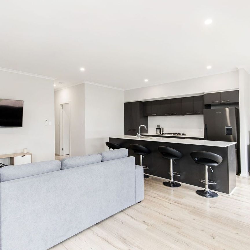 12 Ambleside Place, Morphettville, SA 5043 - Photo 1