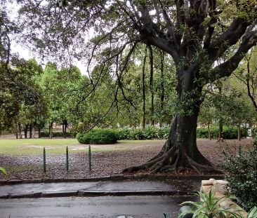 Refurbished Studio - 3 Month Lease Only - Photo 1