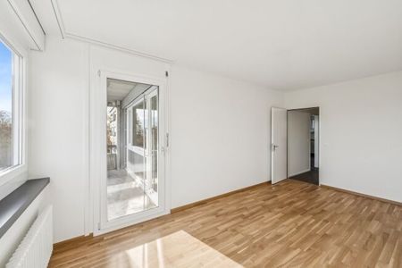 À la recherche d’un nouveau foyer - Photo 3