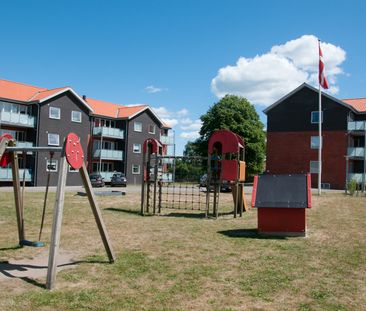 Rugkobbel, 6200, Aabenraa - Foto 4