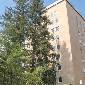 helle 2-Zimmer-Wohnung in Erlangen-Ost, Balkon - Foto 3