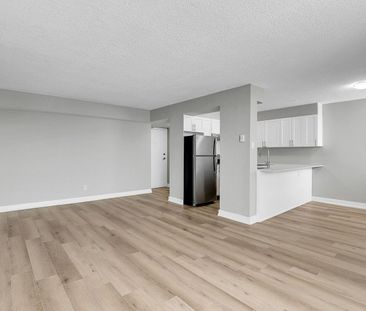 2935 Richmond Road, Ottawa, ON - Photo 3