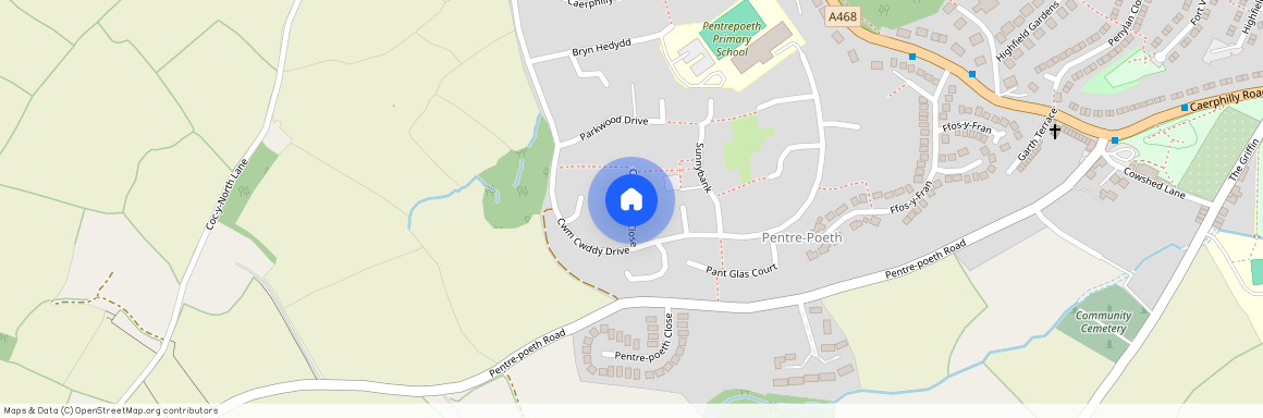 Cwm Dylan Close, Newport, NP10