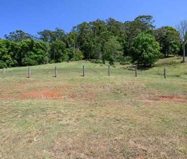 135 Blindmouth Road, Main Arm - Photo 5