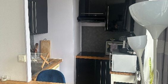 Appartement La Madeleine 2 pièce(s) 40 m2 - Photo 3