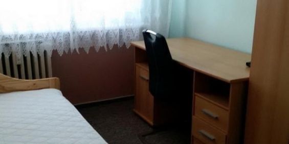 Pronájem bytu pokoj 17 m2 - Photo 3