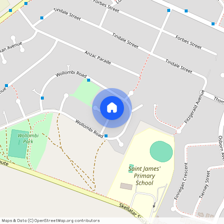 7 Dangar Place, Muswellbrook, NSW 2333