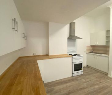 RENOVATED ONE BEDROOM APARTMENT - Photo 4