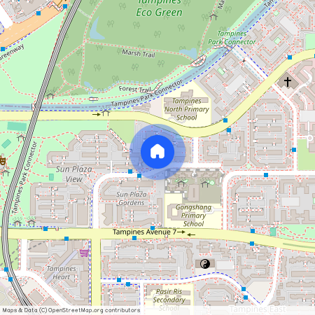 425 Tampines Street 41 (520425), Singapore