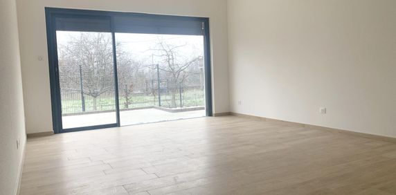 Appartement à louer, 2 pièces - Colmar 68000 - Photo 2