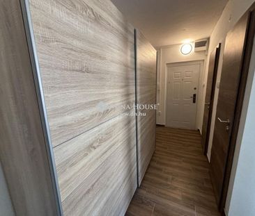 For rent Apartment, Bács-Kiskun county Kecskemét – 5. fotó